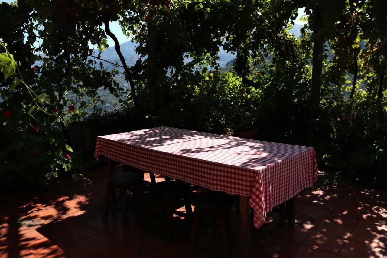 Casa De Sao Joao Das Castanheiras เรเซนด์ ภายนอก รูปภาพ